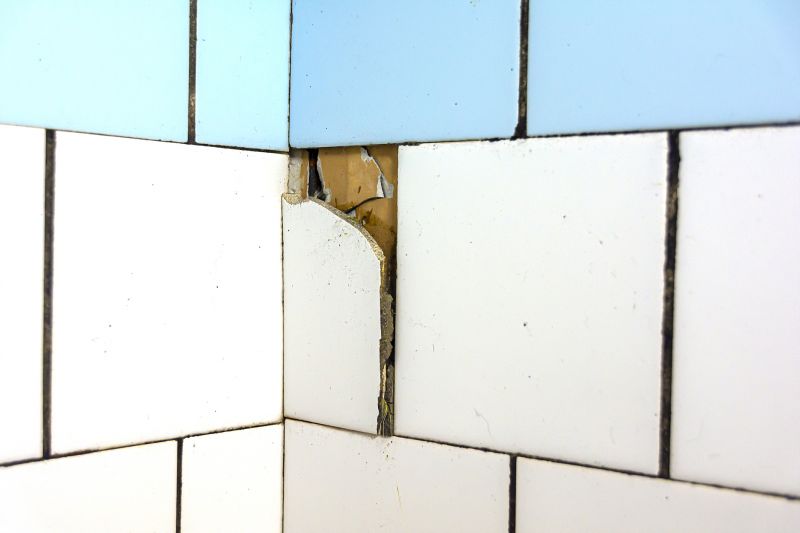 Before Repair - Damaged Tiles